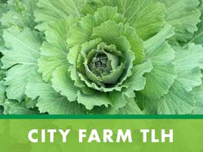 button for city farm TLH