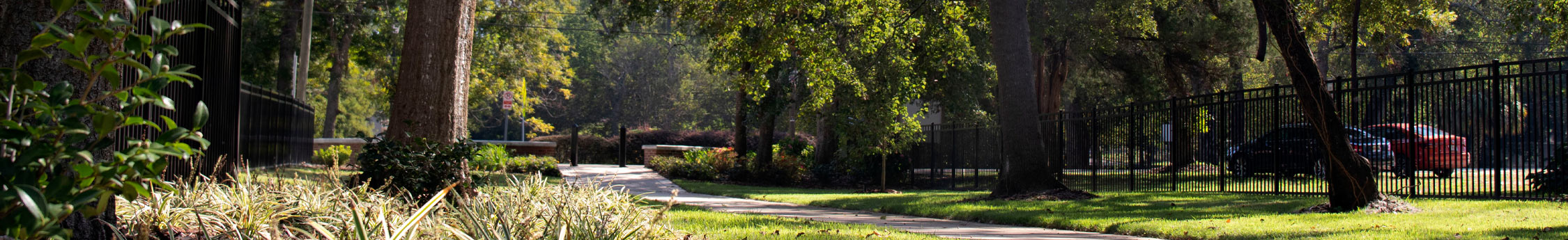 Image From Tallahassee