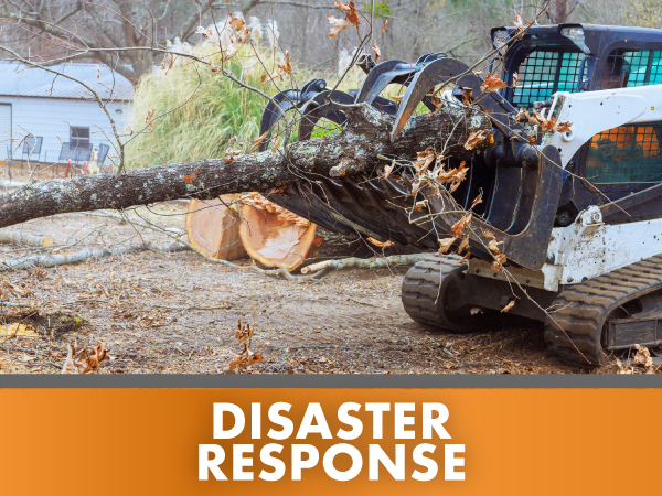 Disaster Response